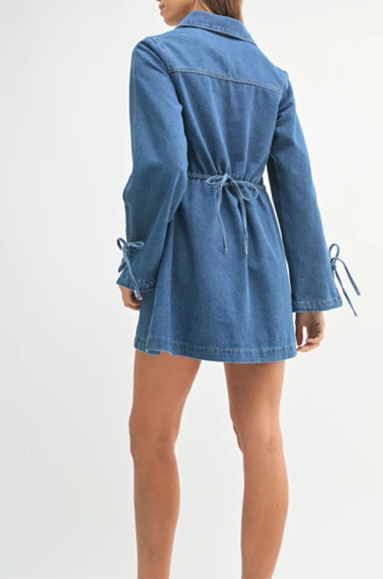 Indigo Denim Collar Mini Dress
