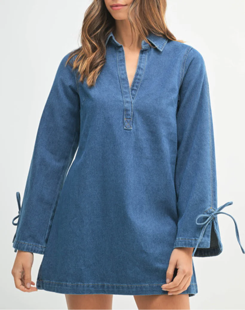 Indigo Denim Collar Mini Dress