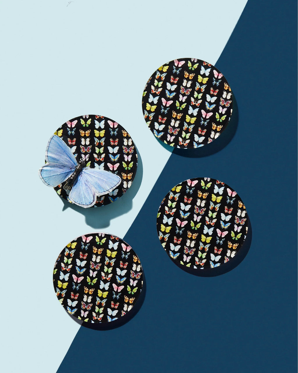 Black Monarch Coasters - Set of 4