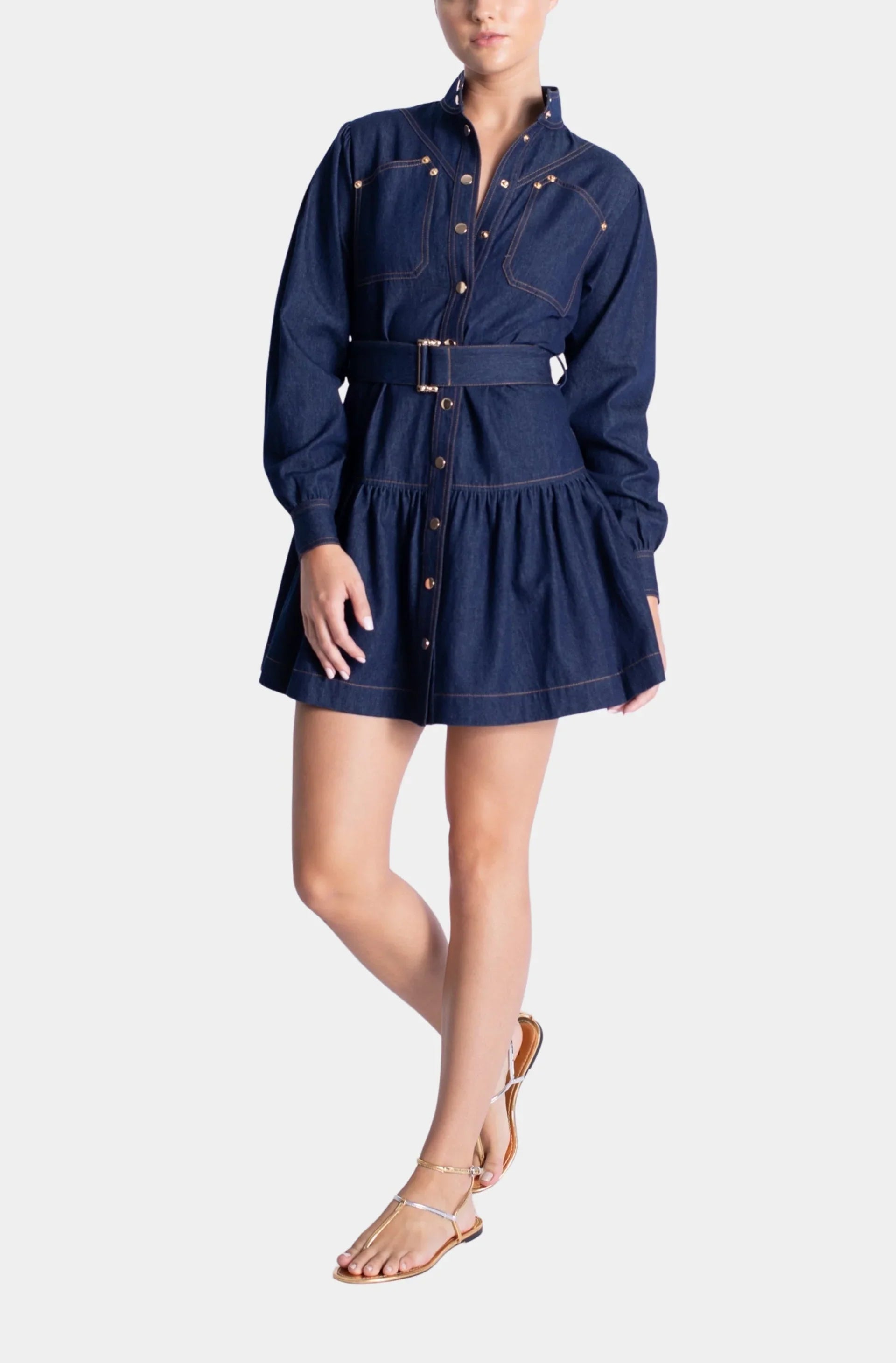 Blue Saraswati Denim Mini Dress
