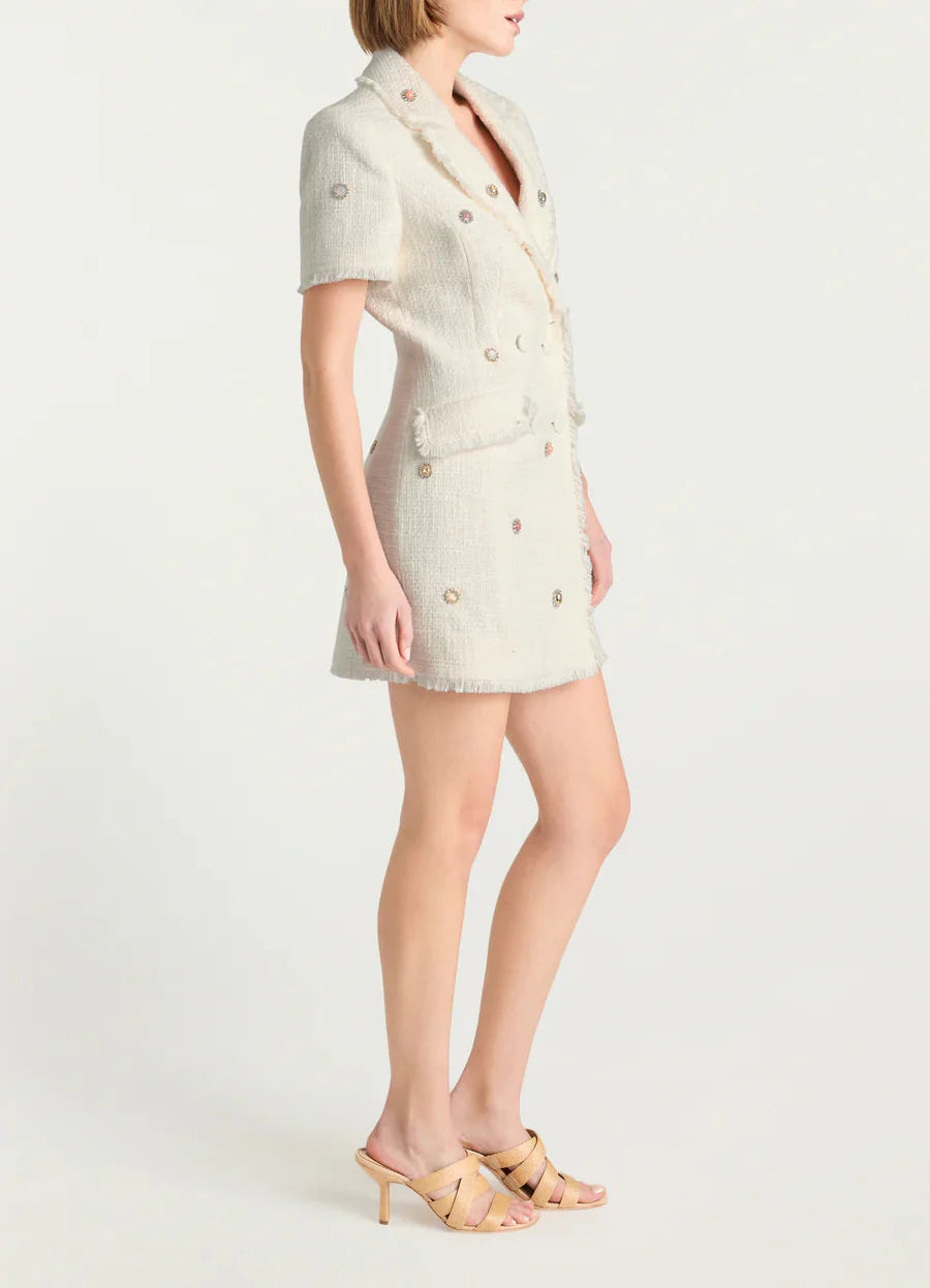 Joel Tweed Mini Dress